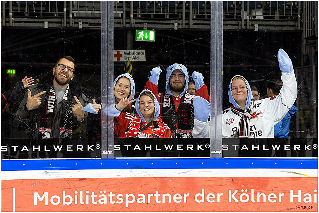 PENNY DEL;  Kölner Haie - ERC Ingolstadt; Köln, 25.11.2022